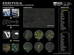 Roofpedia: Automatic mapping of green and solar roofs for an open roofscape registry and evaluation of urban sustainability