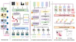 Learning Fine-Grained Urban Mobility Dynamics Through Large Model-Enhanced Multimodal Representations