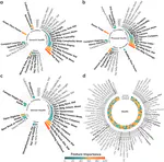 Urban motifs associated with population health